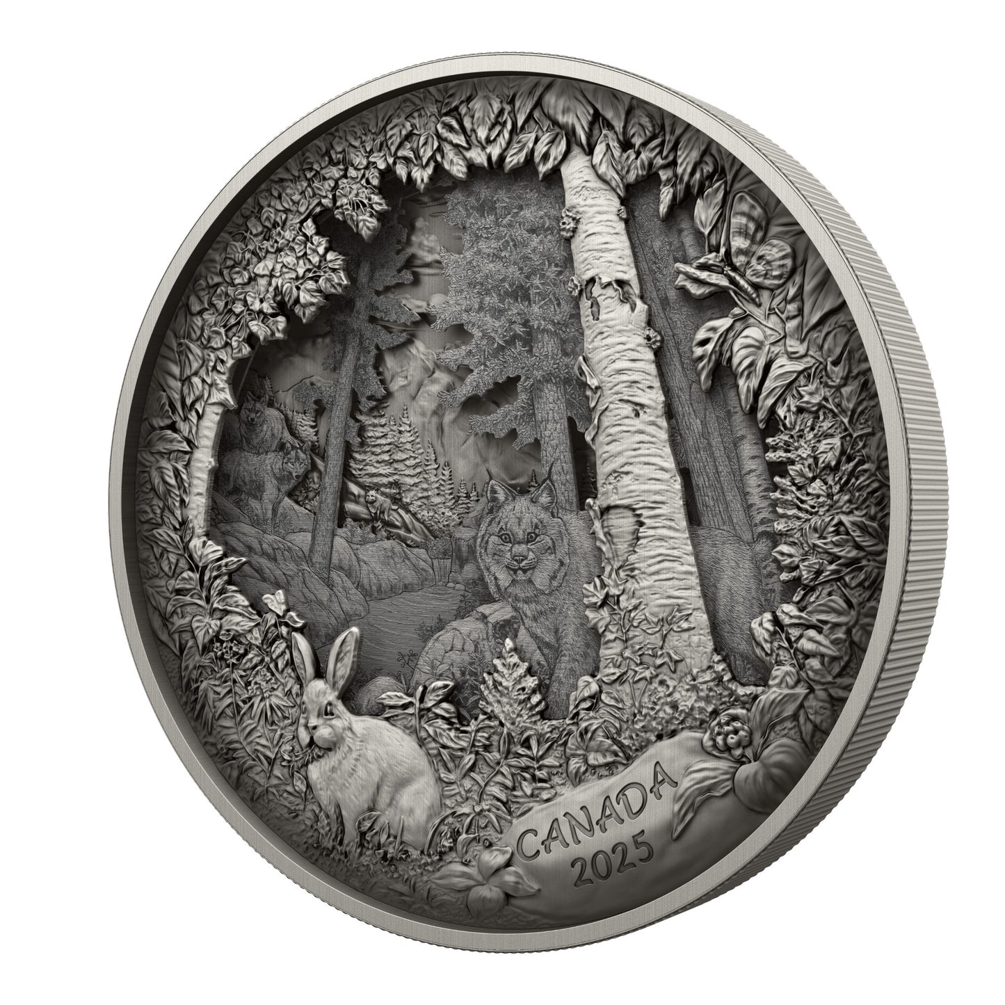 Predator or Prey in Shadow Box – Fine Silver Coin