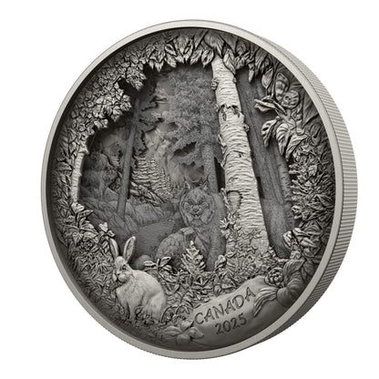 Predator or Prey in Shadow Box – Fine Silver Coin