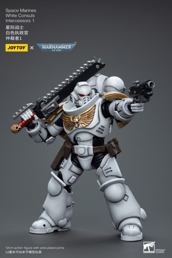 White Consuls Intercessors 1 Space Marines Joy Toy