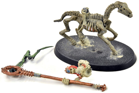 TOMB KINGS Standard Skeleton Horseman #1 Fantasy