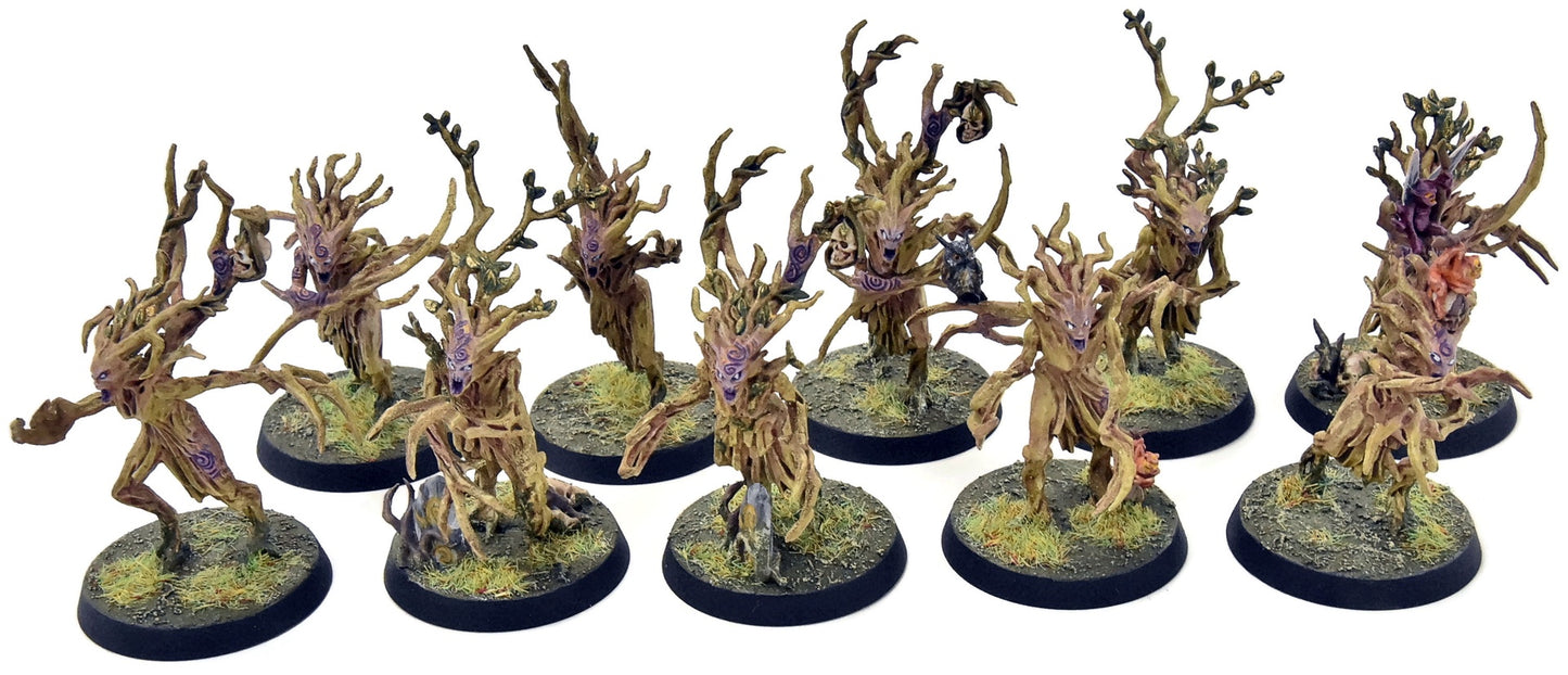 SYLVANETH 10 Dryads #2 WELL PAINTED Sigmar