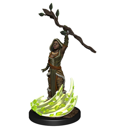 D&D Unpainted Minis Wv14 Human Druid Female