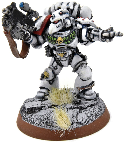 SPACE MARINES Space Marines Veterans #2 WELL PAINTED white scars