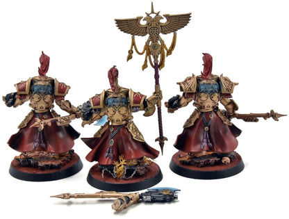 ADEPTUS CUSTODES 3 Allarus Custodians #3 PRO PAINTED Warhammer 40K