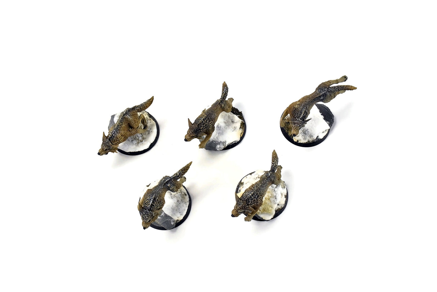 SPACE WOLVES Fenrisian Wolves #2 PRO PAINTED 40k
