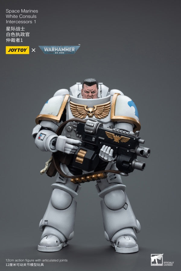 White Consuls Intercessors 1 Space Marines Joy Toy