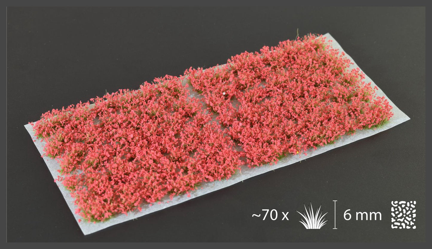 Red Flowers - Wild