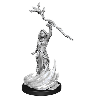 D&D Unpainted Minis Wv14 Human Druid Female