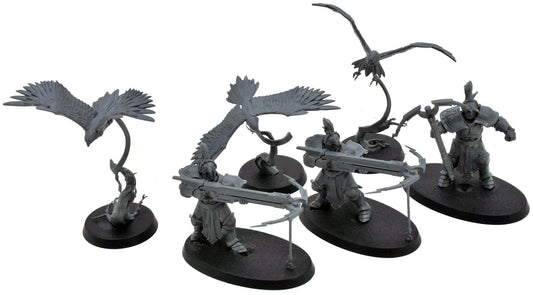 STORMCAST ETERNALS 3 Vanguard Raptor With Longstrike & Aetherwing #2 Sigmar