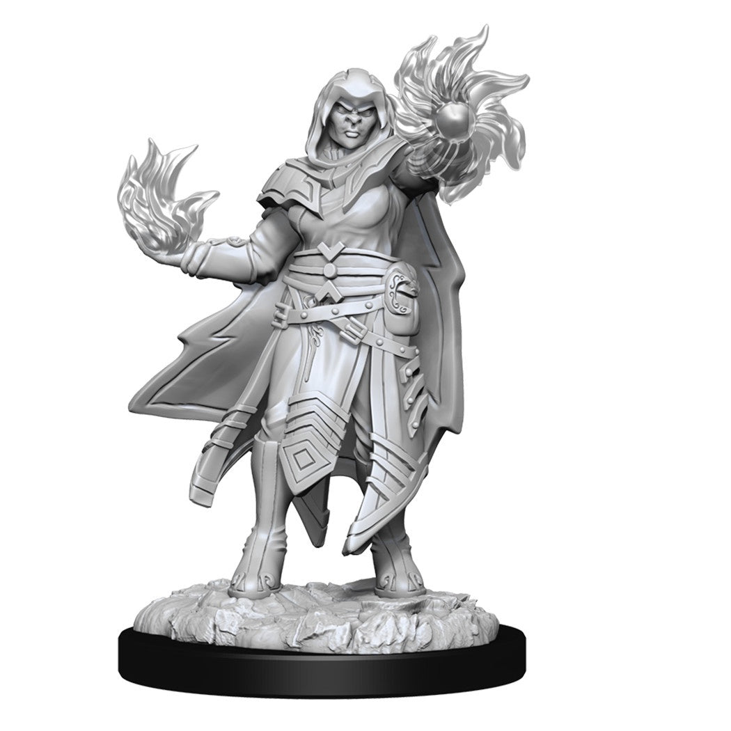 D&D Unpainted Minis Wv15 Hobgoblin Male And Female