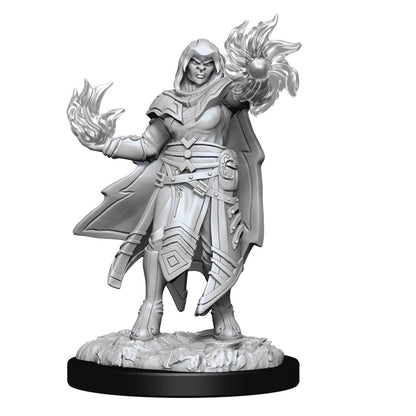 D&D Unpainted Minis Wv15 Hobgoblin Male And Female