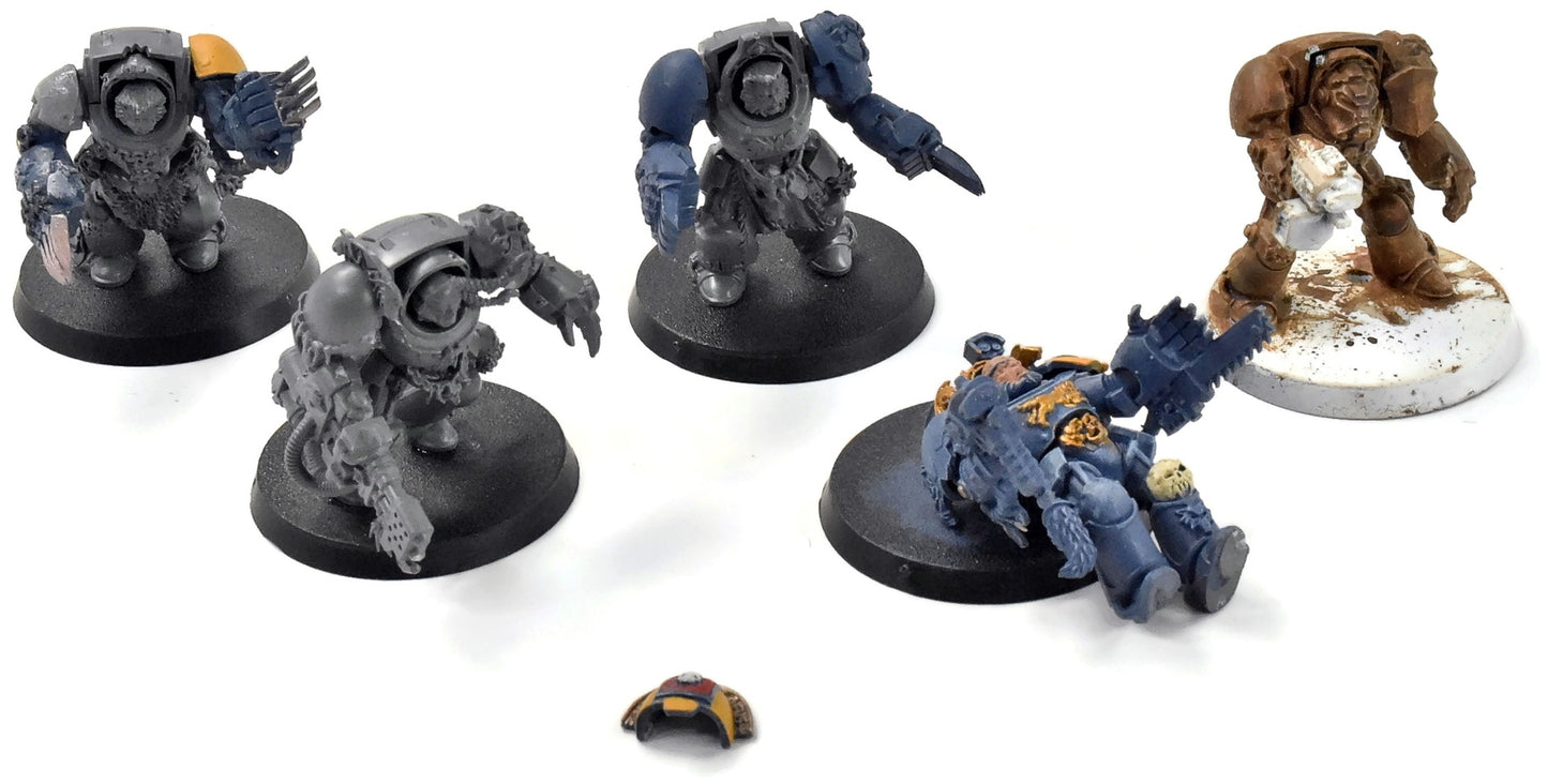 LOUPS DE L'ESPACE 5 Terminators de la Garde Loup #3 Warhammer 40K