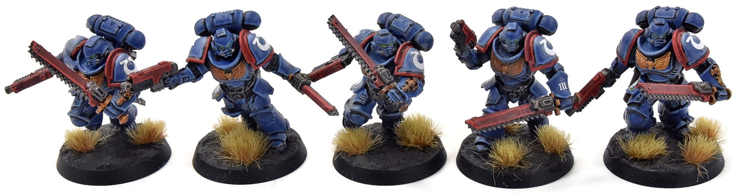 SPACE MARINES 10 Assault Intercessors #1 WELL PAINTED Ultramarines 40K