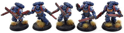 SPACE MARINES 10 Assault Intercessors #1 WELL PAINTED Ultramarines 40K