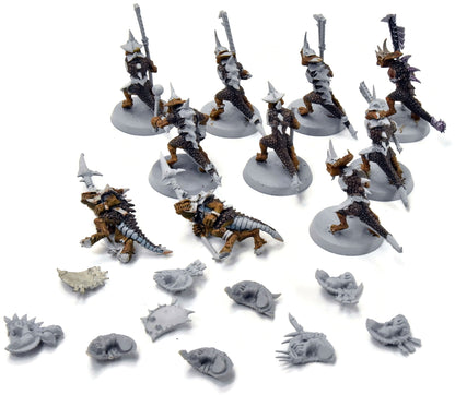 SERAPHON 10 Saurus Guards #1 Sigmar