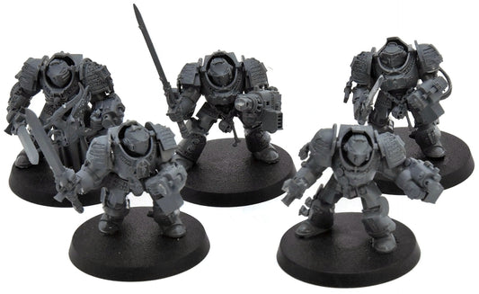 GREY KNIGHTS 5 Paladin Terminators #1 Warhammer 40K