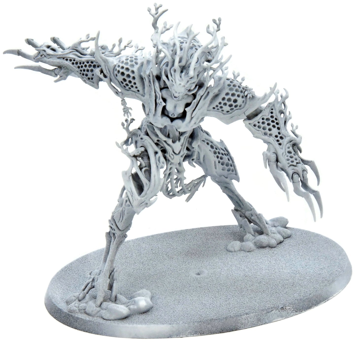 SYLVANETH Drycha #1 Warhammer Sigmar