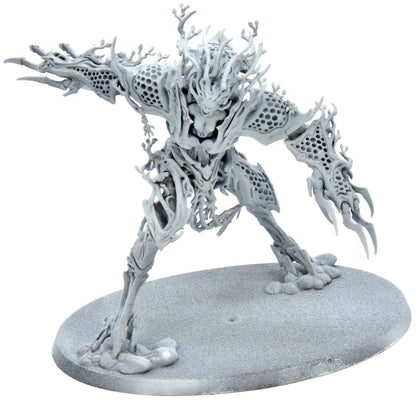 SYLVANETH Drycha #1 Warhammer Sigmar