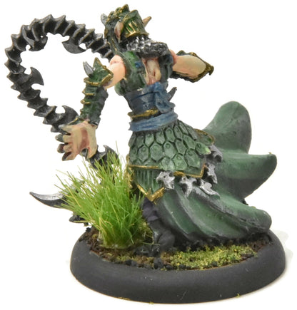 HORDES Paingiver Bloodrunner Master Tormentor #3 WELL PAINTED METAL skorne