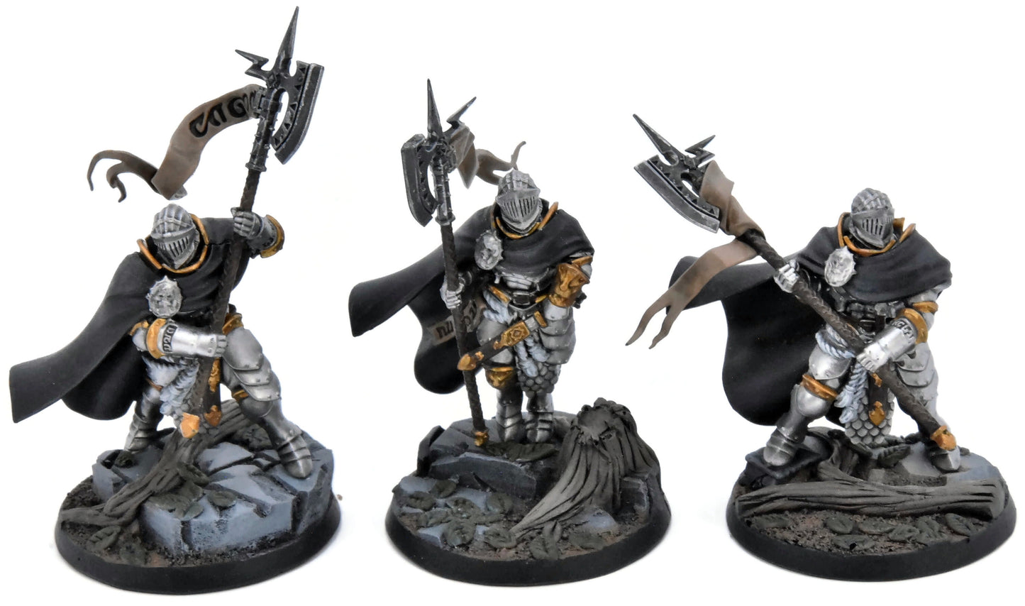 STORMCAST ETERNALS 3 Praetors #1 WELL PAINTED Warhammer Sigmar 6772