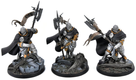 STORMCAST ETERNALS 3 Praetors #1 WELL PAINTED Warhammer Sigmar 6772