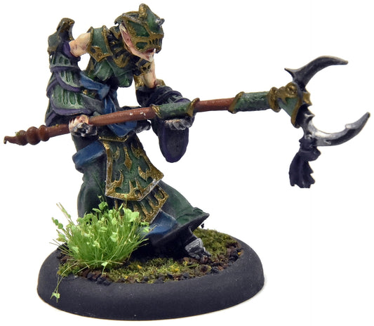 HORDES Paingiver Task Master #2 METAL Skorne WELL PAINTED