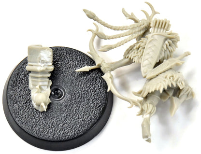 CURSED CITY Qulathis, The Exile #1 Sigmar
