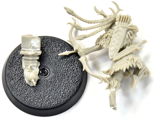 CURSED CITY Qulathis, The Exile #1 Sigmar