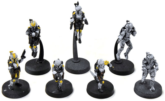 STAR WARS LEGION 7 Mandalorian Resistance #1 PRO PAINTED