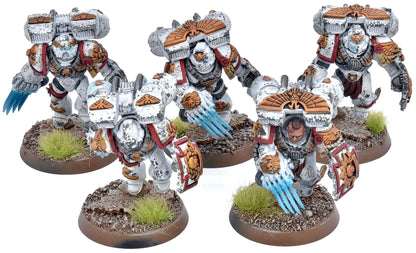 SPACE MARINES 5 Vanguard Veteran Squad #1 WELL PAINTED 40K White Scars