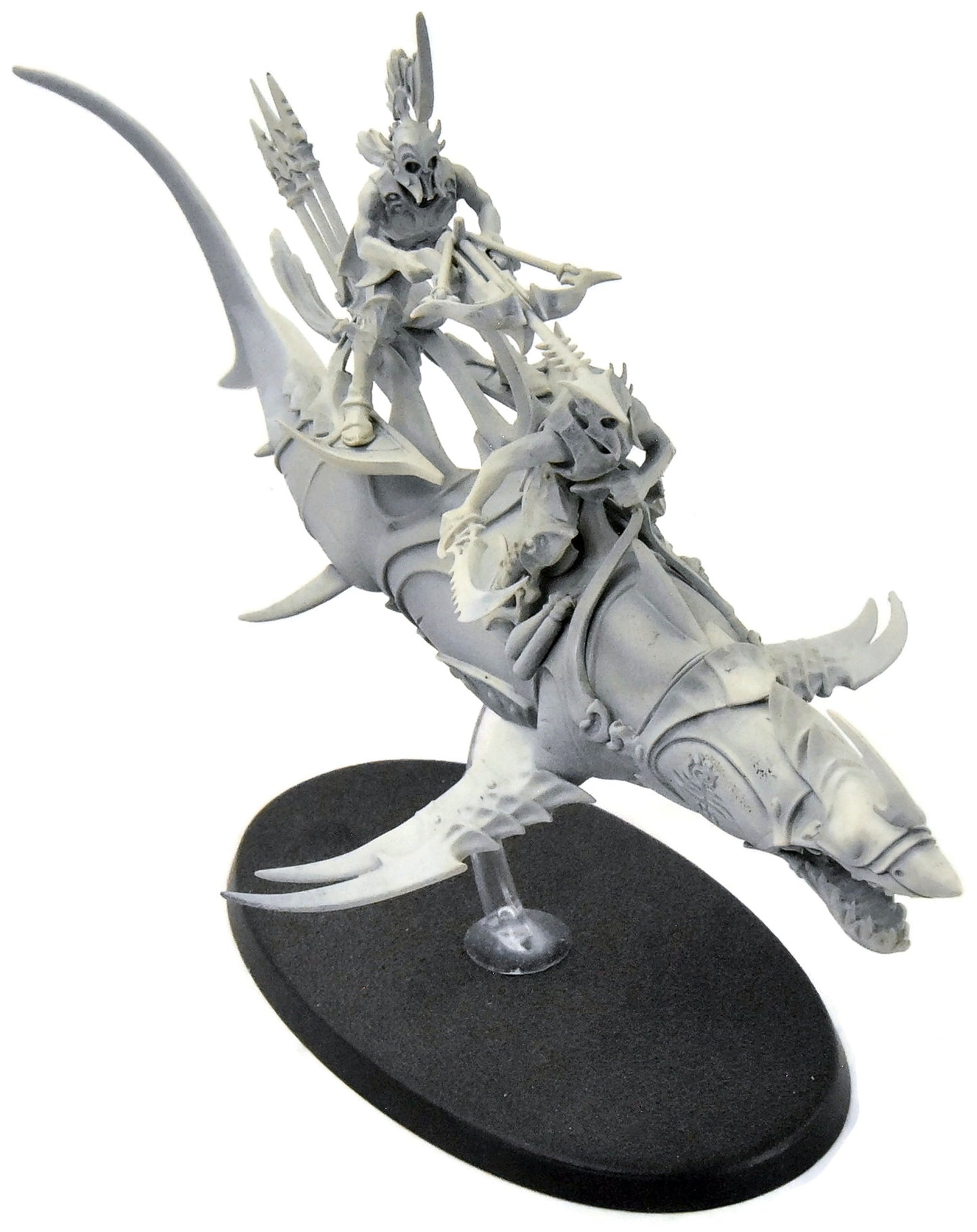 IDONETH DEEPKIN Akhelian Allopex #1 Sigmar 4782