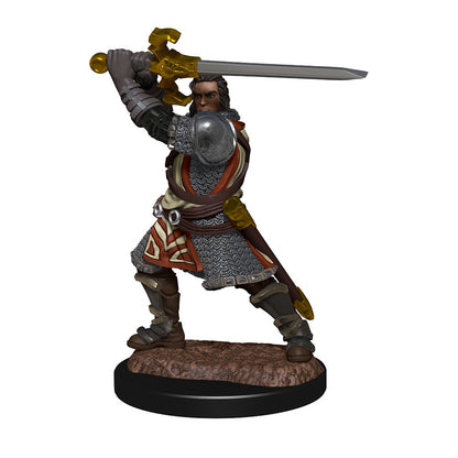 D&D Unpainted Minis Wv14 Human Paladin Male
