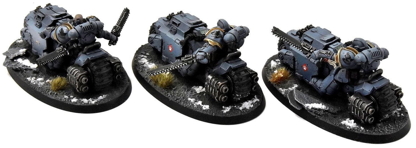 SPACE WOLVES 3 Outriders #1 PRO PAINTED Warhammer 40K
