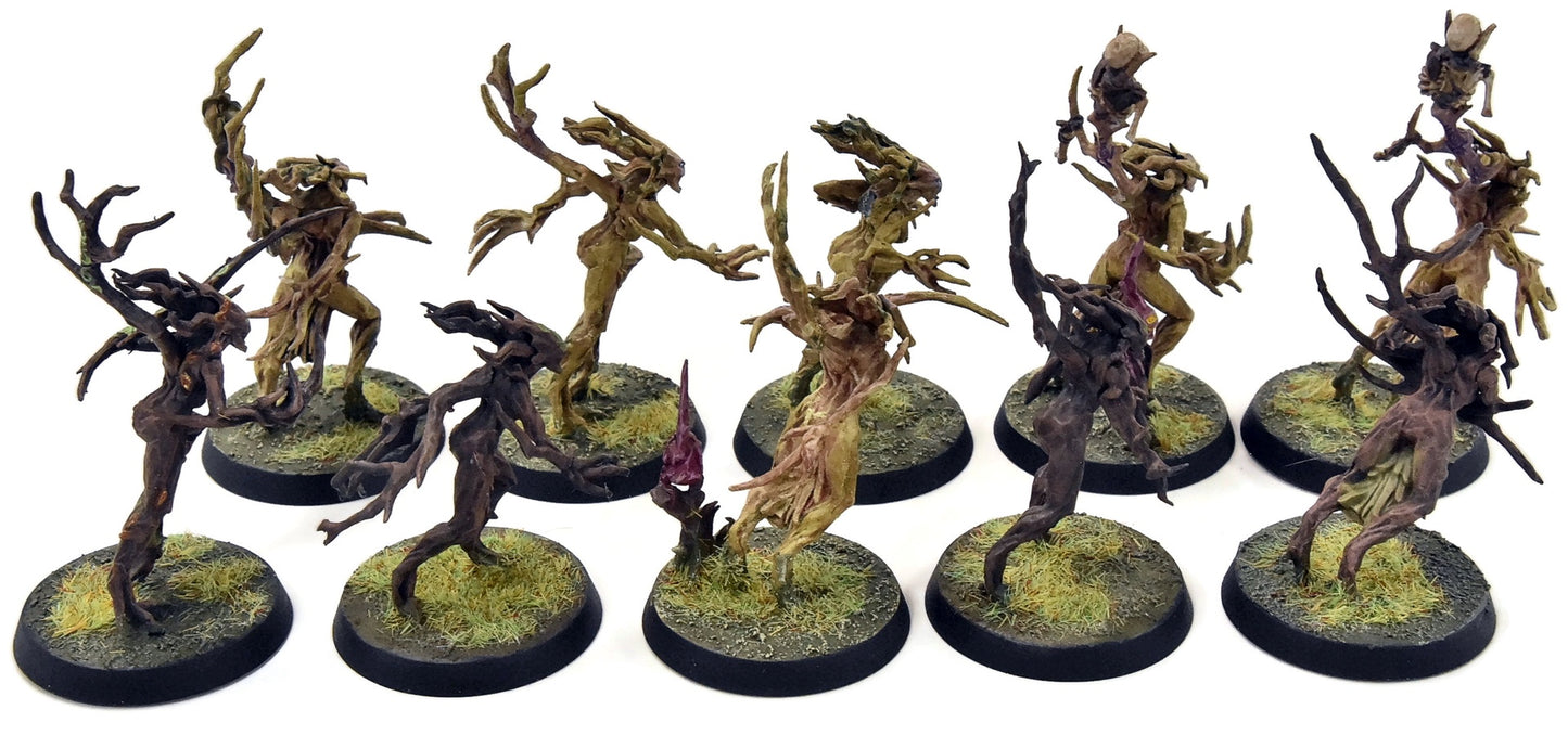 SYLVANETH 10 Dryads #4 WELL PAINTED Sigmar