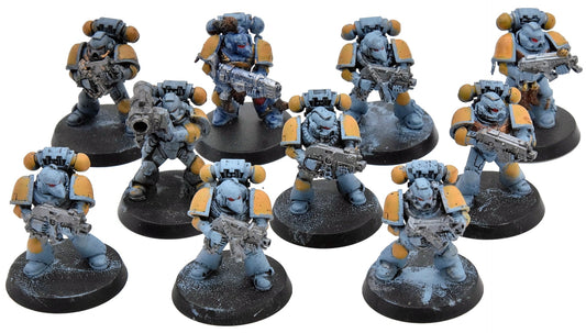 SPACE WOLVES 10 Grey Hunter #2 Warhammer 40K