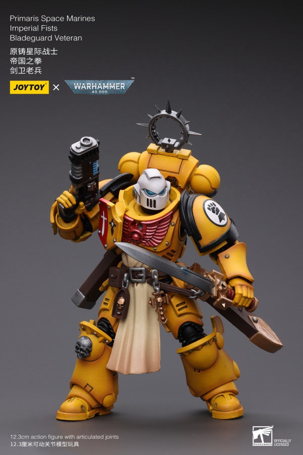 Primaris Space Marines Imperial Fists Bladeguard Veteran Joy Toy