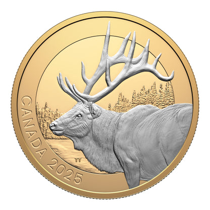 $20 Fine Silver Coin - Animal Portraits: Elk 2025