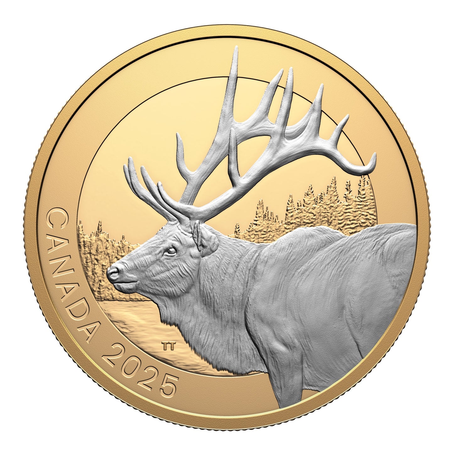 $20 Fine Silver Coin - Animal Portraits: Elk 2025 (250135)