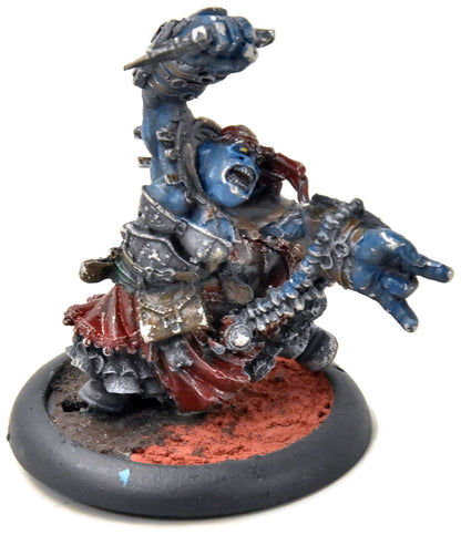 HORDES Calandra Truthsayer Oracle of The Glimmerwood #1 METAL TROLLBLOODS