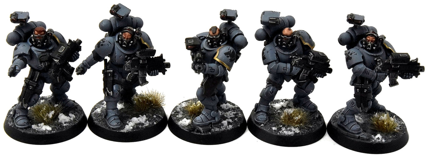 SPACE WOLVES 10 Incursors #1 PRO PAINTED Warhammer 40K