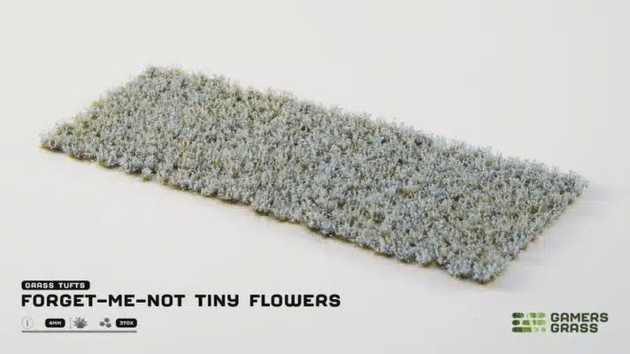 Forget-me-not Tiny Flowers