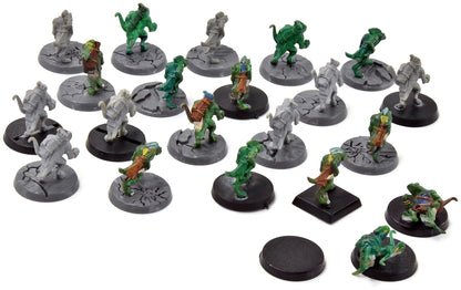 SERAPHON 21 Skinks #2 Sigmar