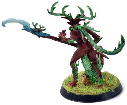 SYLVANETH Branchwych #1 Sigmar 9273