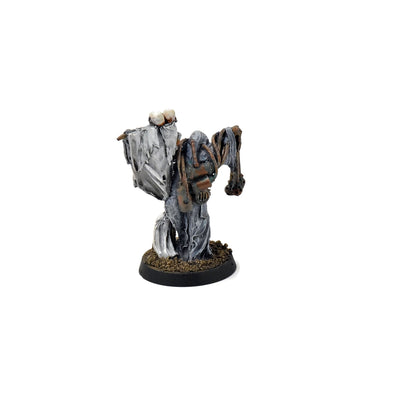 RENEGADE MILITIA Apostate Preacher of nurgle #2 WELL PAINTED 40K