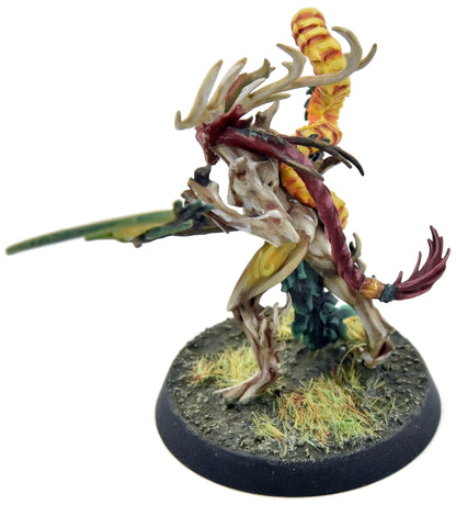 SYLVANETH Branchwych #1 WELL PAINTED Sigmar 2523