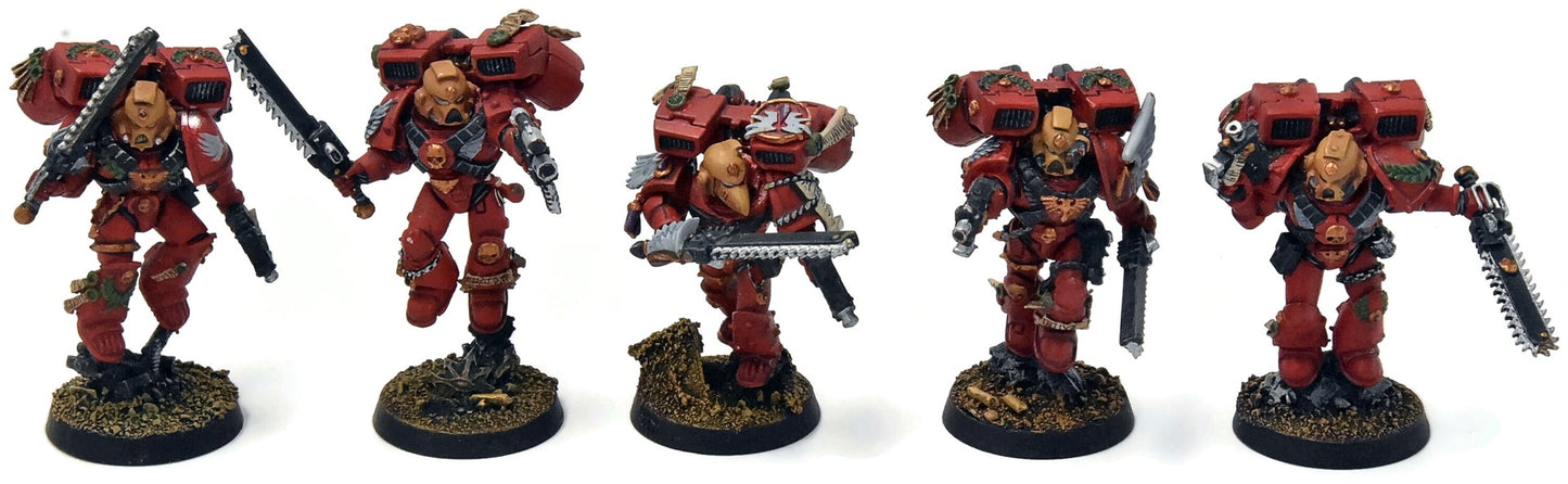 BLOOD ANGELS 5 Sternguard Veterans With Jump Pack #41 METAL WELL PAINTED 40K