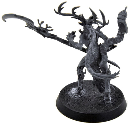SYLVANETH Branchwych #1 Sigmar 1434