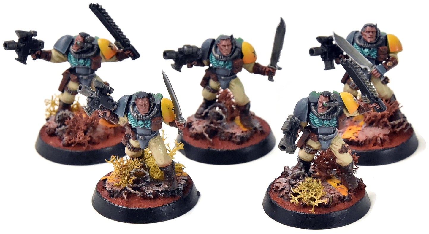 SPACE MARINES 5 Scouts #4 PRO PAINTED Warhammer 40K