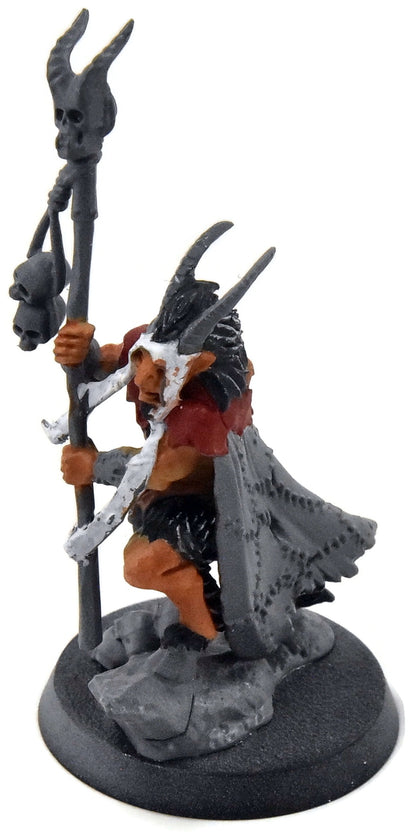 BEASTS OF CHAOS Great-Bray Shaman #1 Sigmar