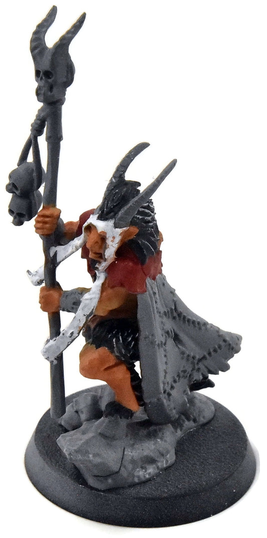 BEASTS OF CHAOS Great-Bray Shaman #1 Sigmar